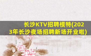洛阳酒吧招聘